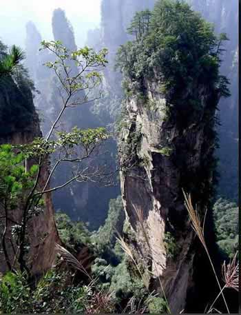 長沙出發(fā)到張家界溶洞奇觀黃龍洞、國家森林公園、袁家界、峰林之王天子山三日游（早班）